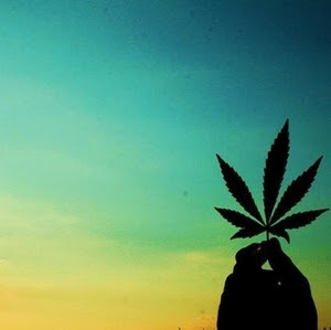 Every product is independently selected by (obsessive) editors. Barcelona Cannabis Club Tours And Coffeeshop Weed Advice