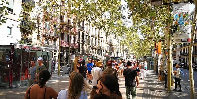 585 · 4 hours ; Shore Excursion Barcelona Walking Tour Private Tour