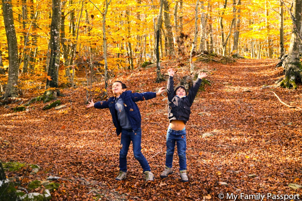 Sácale todo el partido a tu escapada a barcelona con niños. El Montseny Naturaleza Y Aventura Para Ninos Cerca De Barcelona My Family Passport