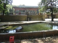 38+ Barcelona Zoo Trip&nbsp;Advisor